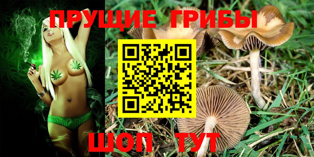 Галлюциногенные грибы прущие грибы  Вход с VPN  Вязьма 